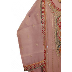 Maryam By Eba Simar Organza Embroidery Readymade Plazzo Suits-Pink Colour